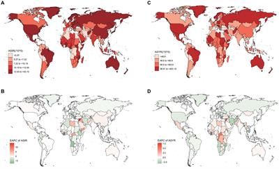 Spinal cord injury: global burden from 1990 to 2019 and projections up to 2030 using Bayesian age-period-cohort analysis